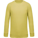 Sudadera algodón orgánico con cuello redondo y mangas raglán de hombre