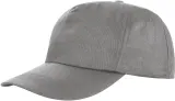 Dove Grey