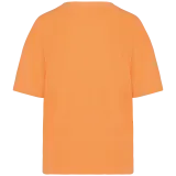 Apricot