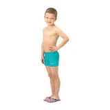 Verde Sft