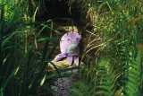 Peluches Squidgy's