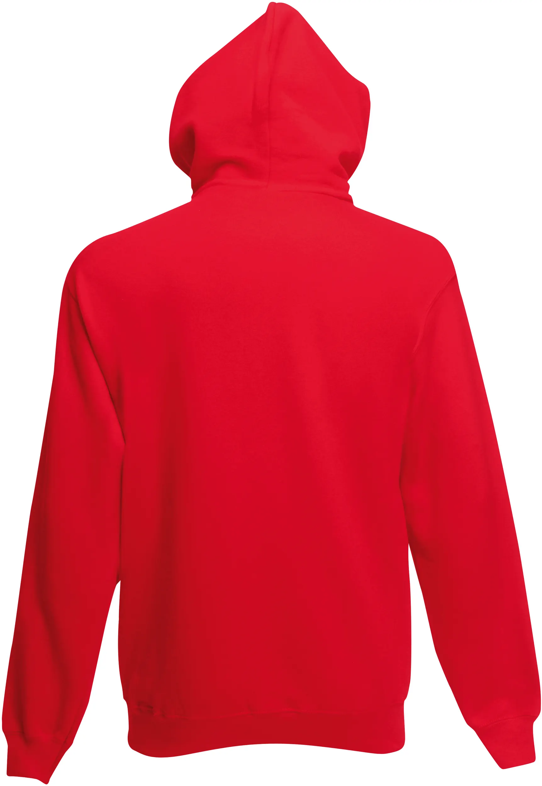 Sudadera Premium capucha