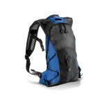 Black / Royal Blue