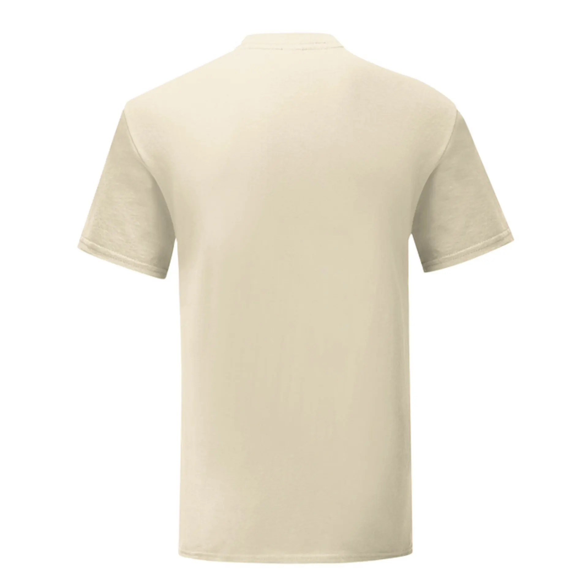 CAMISETA FRUIT OF THE LOOM ICONIC 150 T