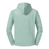 Eucalyptus Green