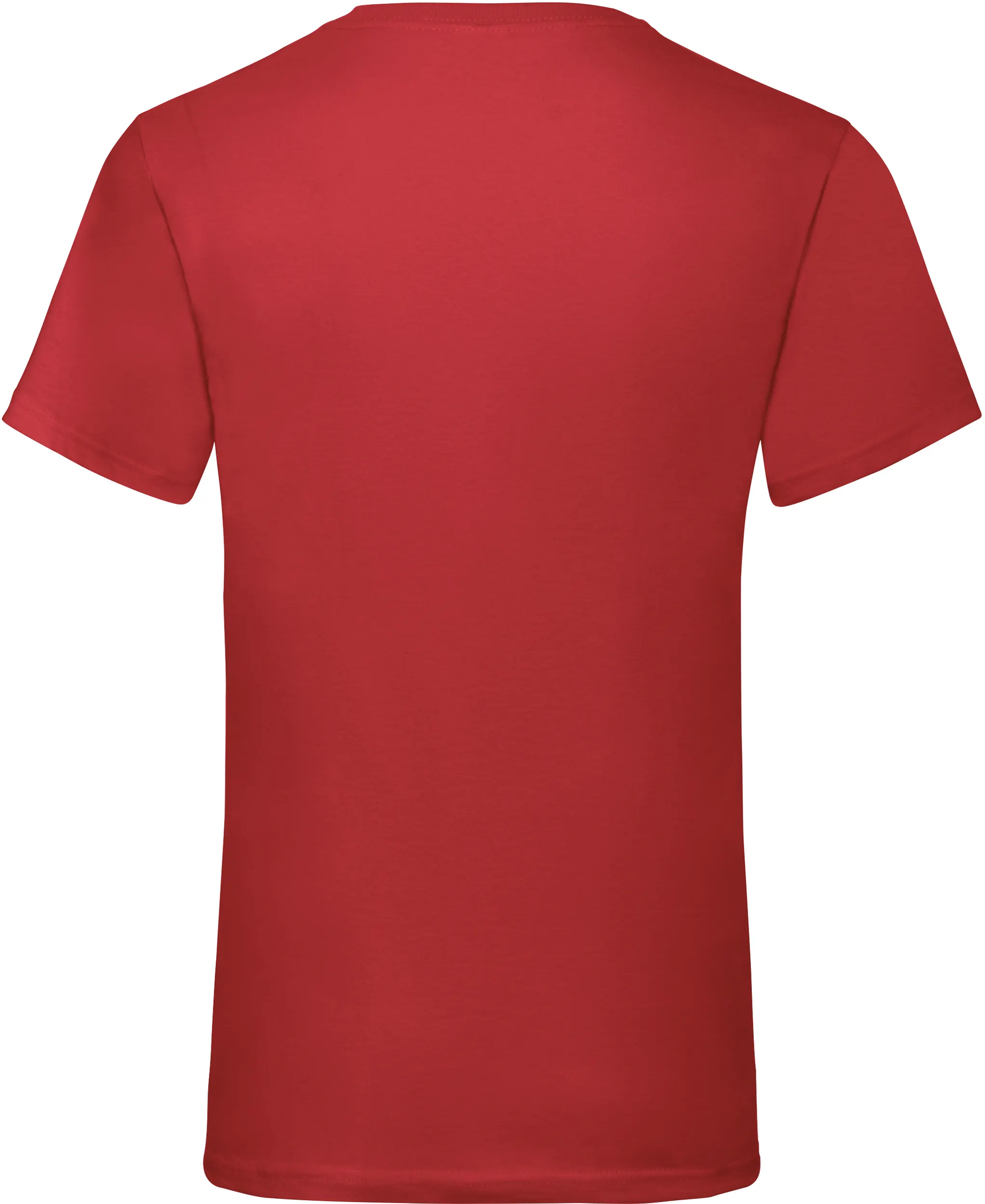 Camiseta Valueweight cuello de pico hombre (61-066-0)