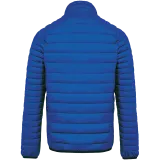 Light Royal Blue