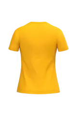 Ideal Gold