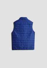 Blue Mazarin
