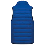 Light Royal Blue