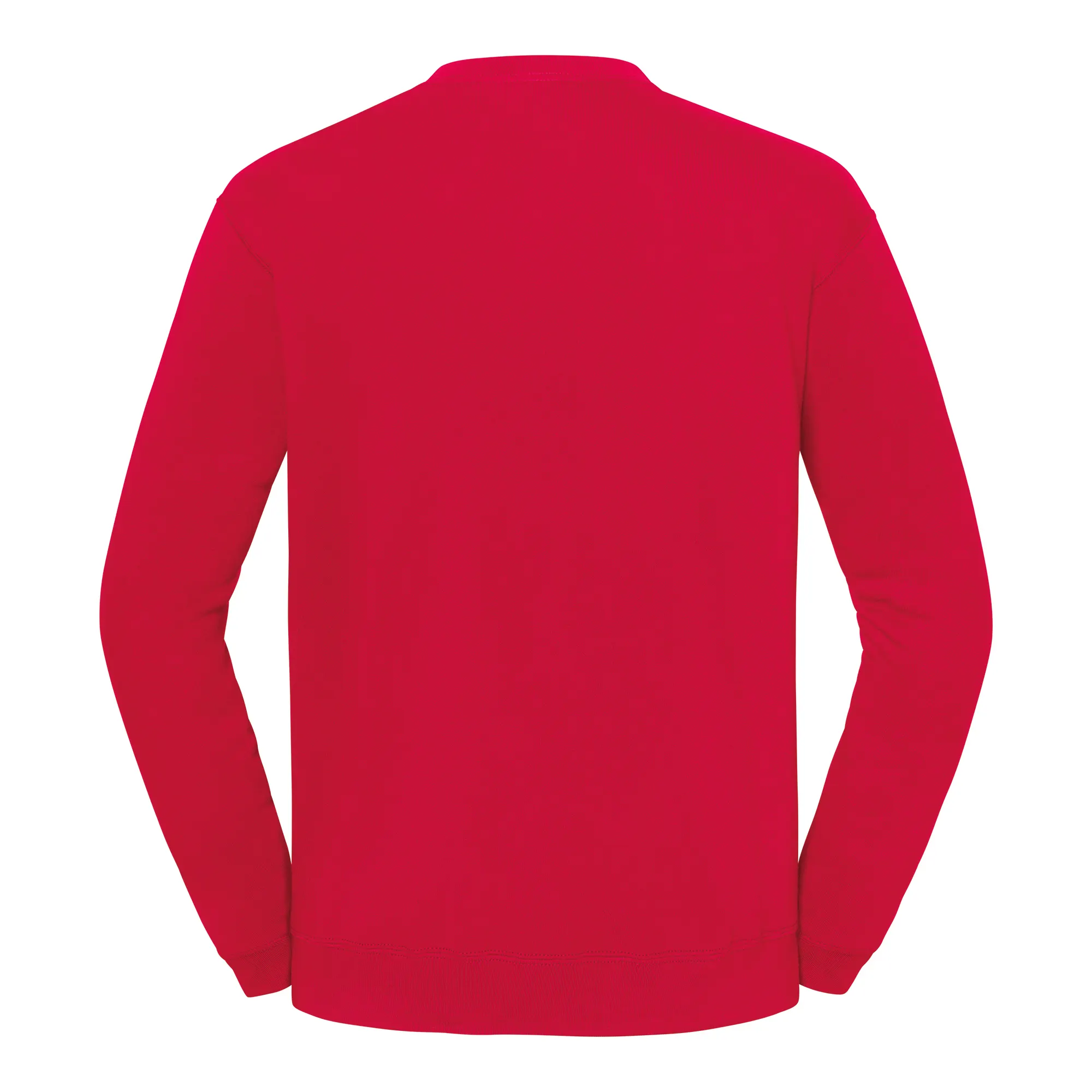 Sudadera Iconic 250