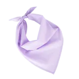 Wisteria Purple