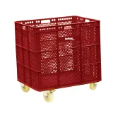 Rojo