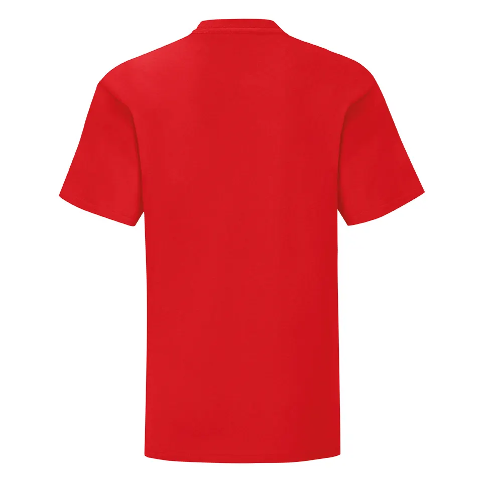 Camiseta Iconic 195 T infantil