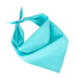 Calypso Blue
