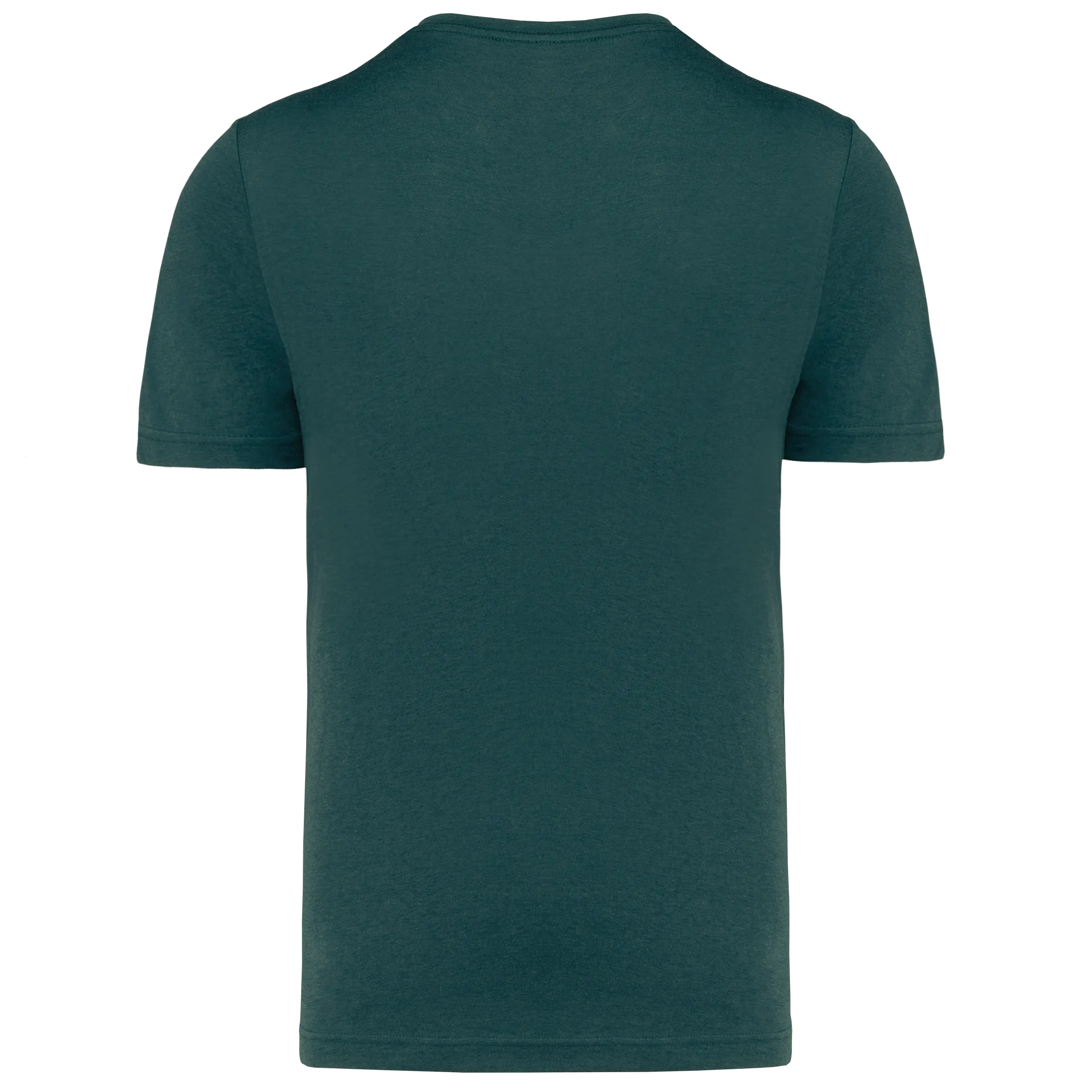 Camiseta triblend Sport