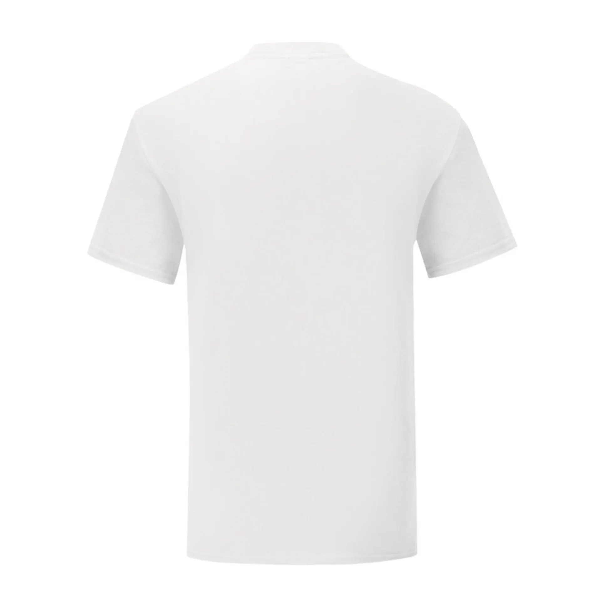 CAMISETA FRUIT OF THE LOOM ICONIC 150 T