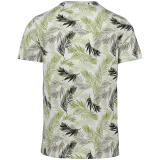 Ivory Palm Leaves
