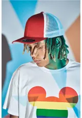Gorra de rejilla bicolor