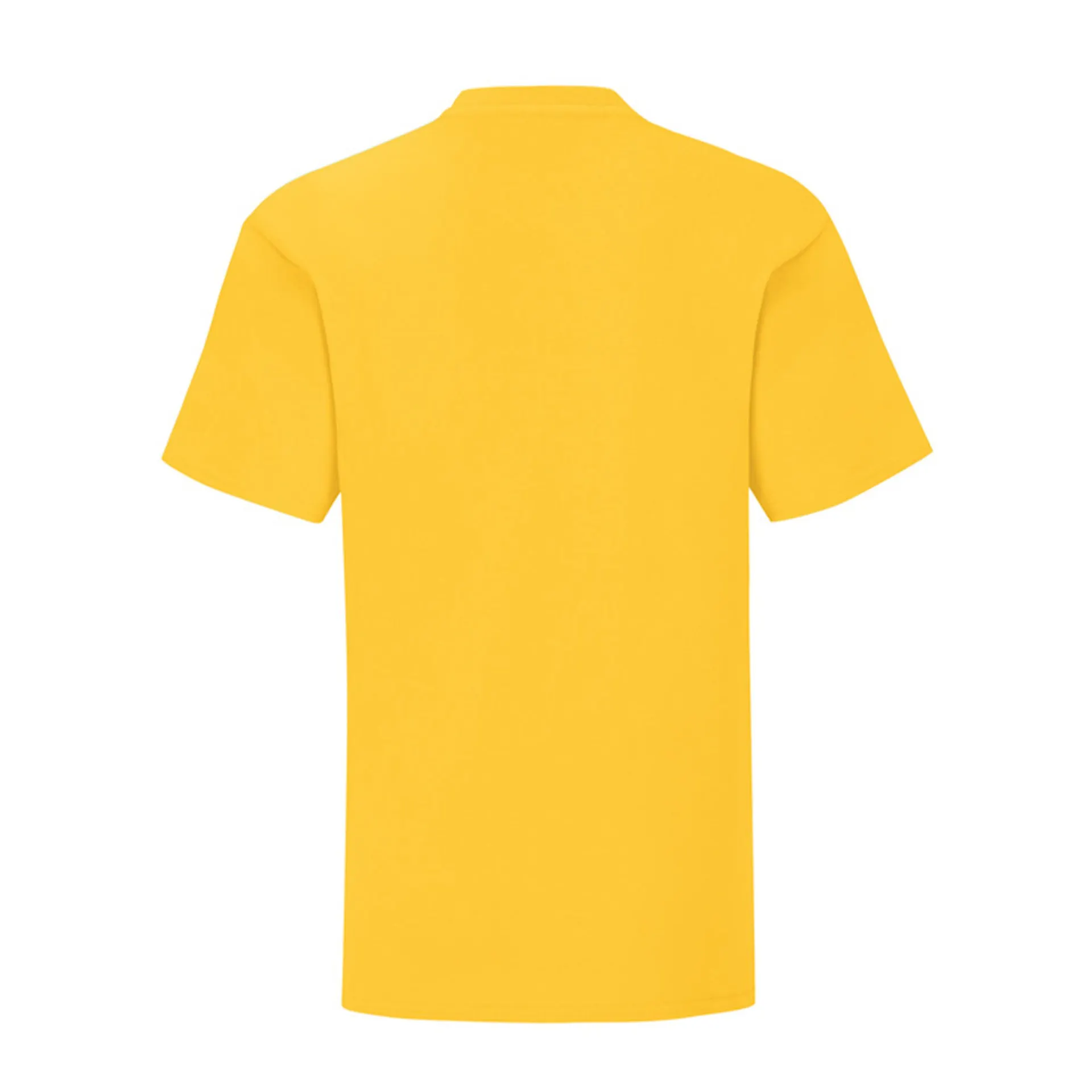 CAMISETA FRUIT OF THE LOOM KIDS ICONIC 150 T