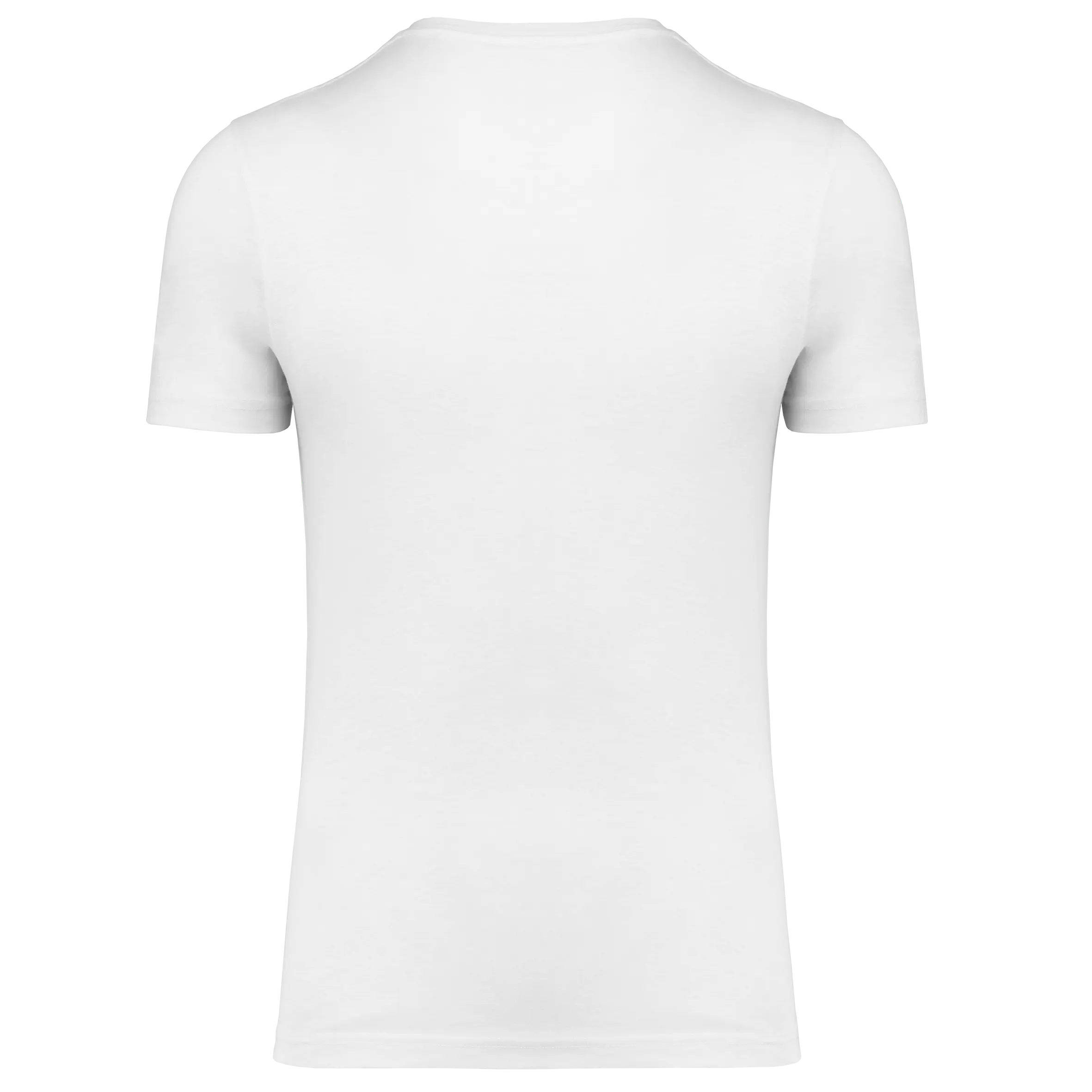 Camiseta triblend Sport