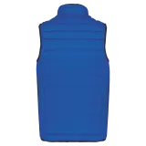 Light Royal Blue