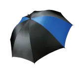 Black / Royal Blue