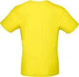 Solar Yellow