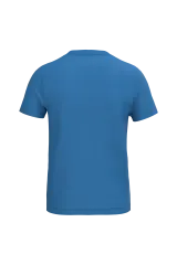 Light Royal Blue