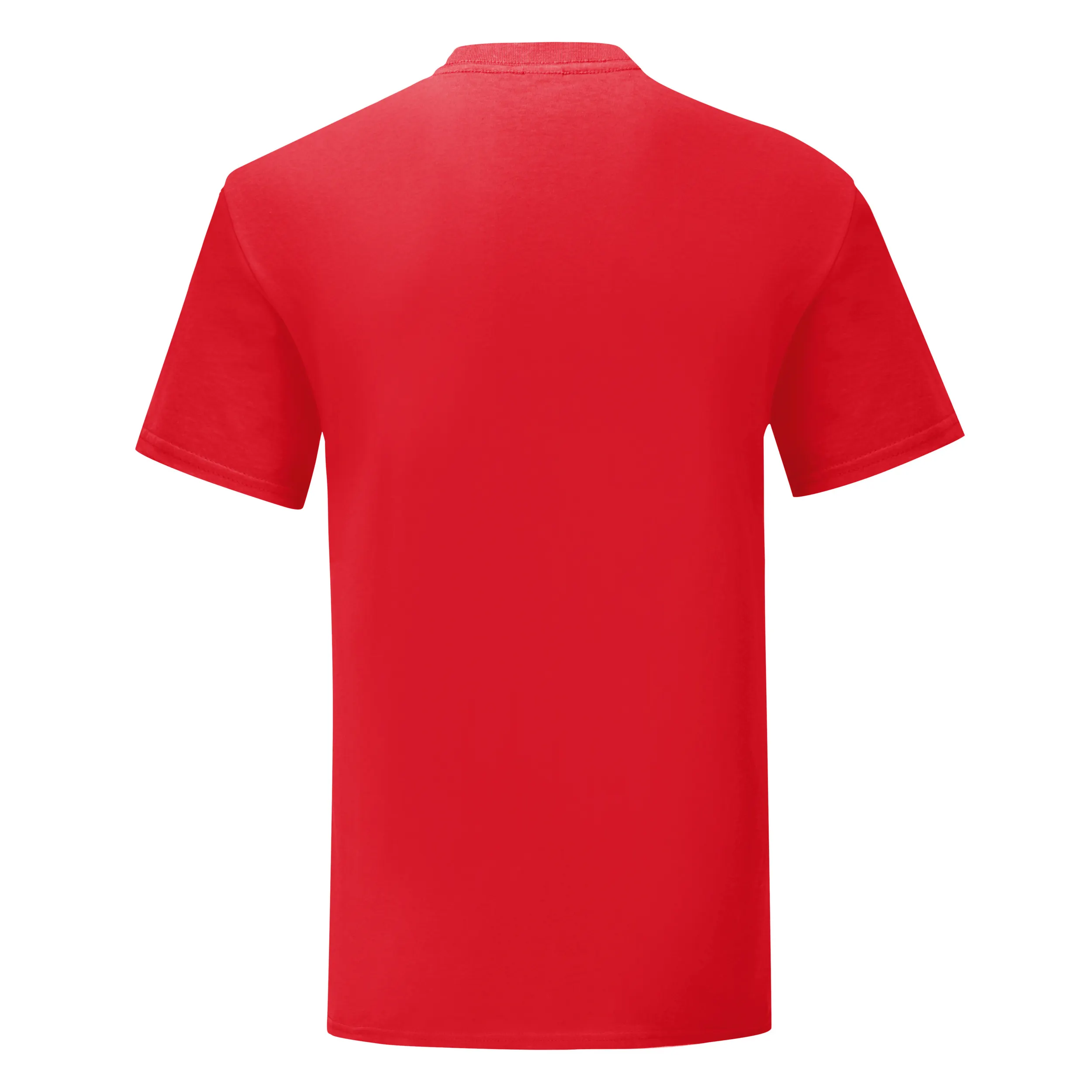 Camiseta Iconic-T hombre