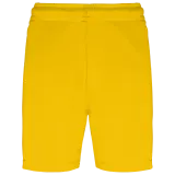 Sporty Yellow