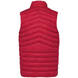 Hibiscus Red