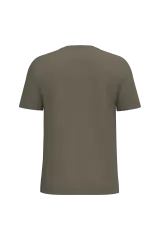 Ideal Olive