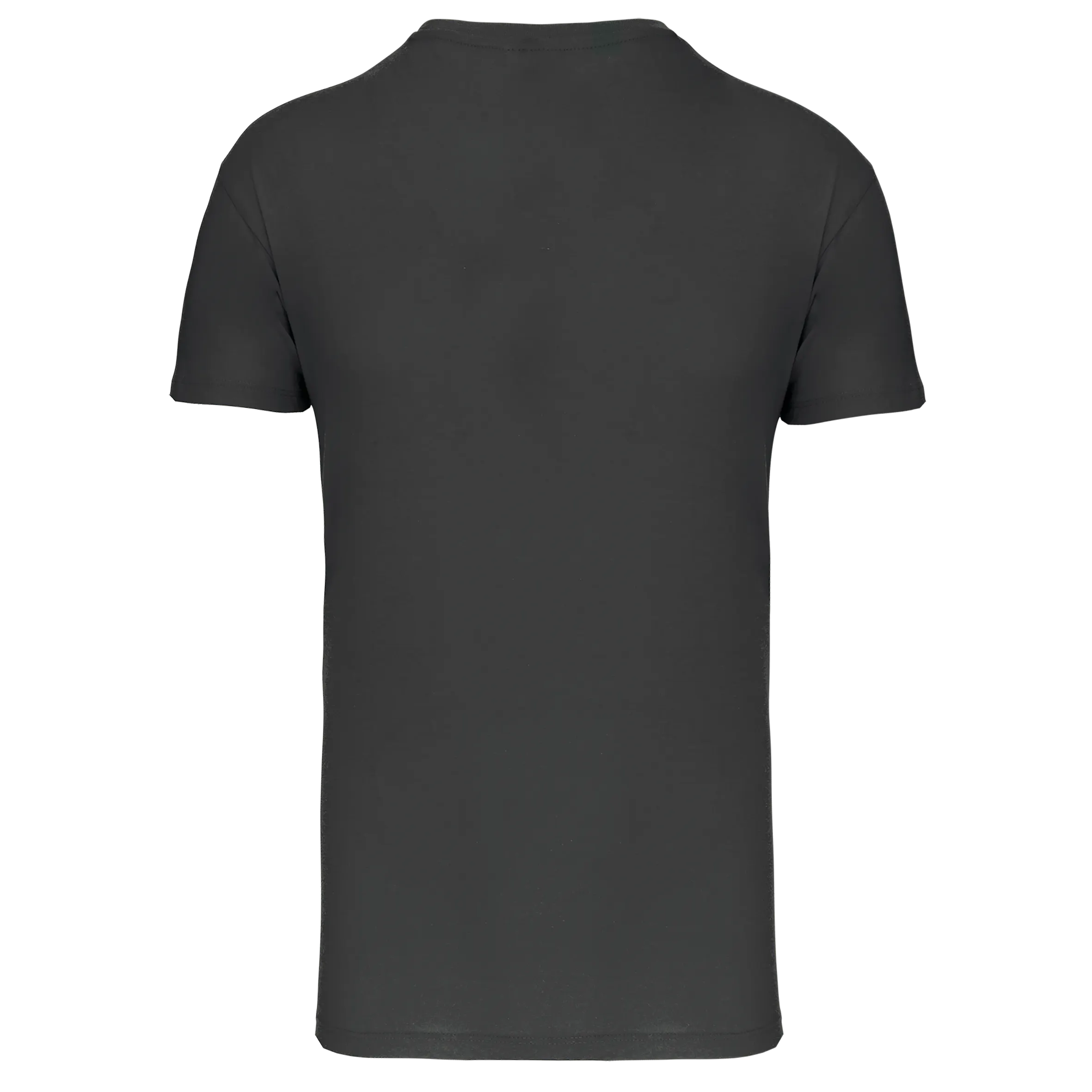 Camiseta BIO150 IC cuello de pico hombre
