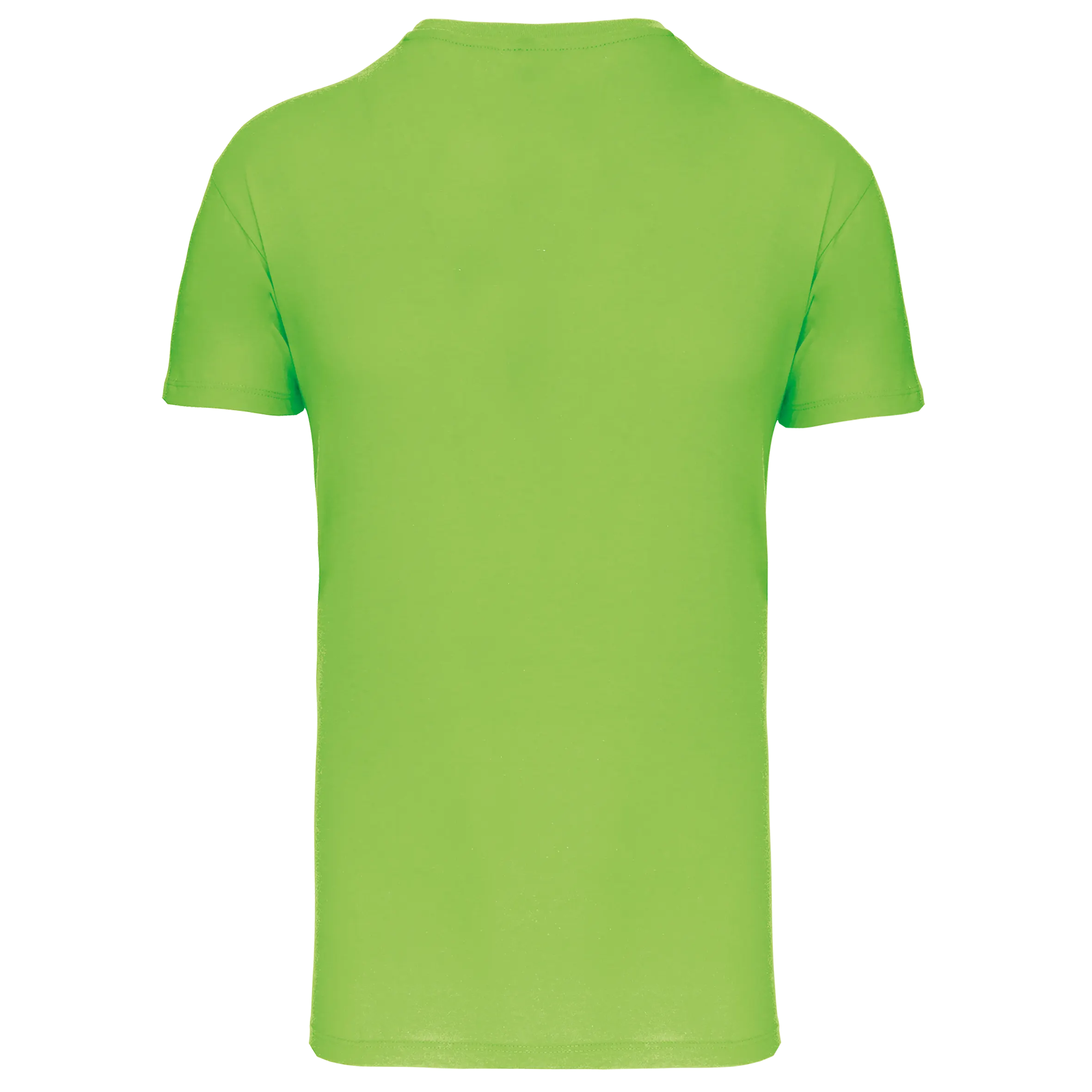 Camiseta BIO150 IC cuello de pico hombre