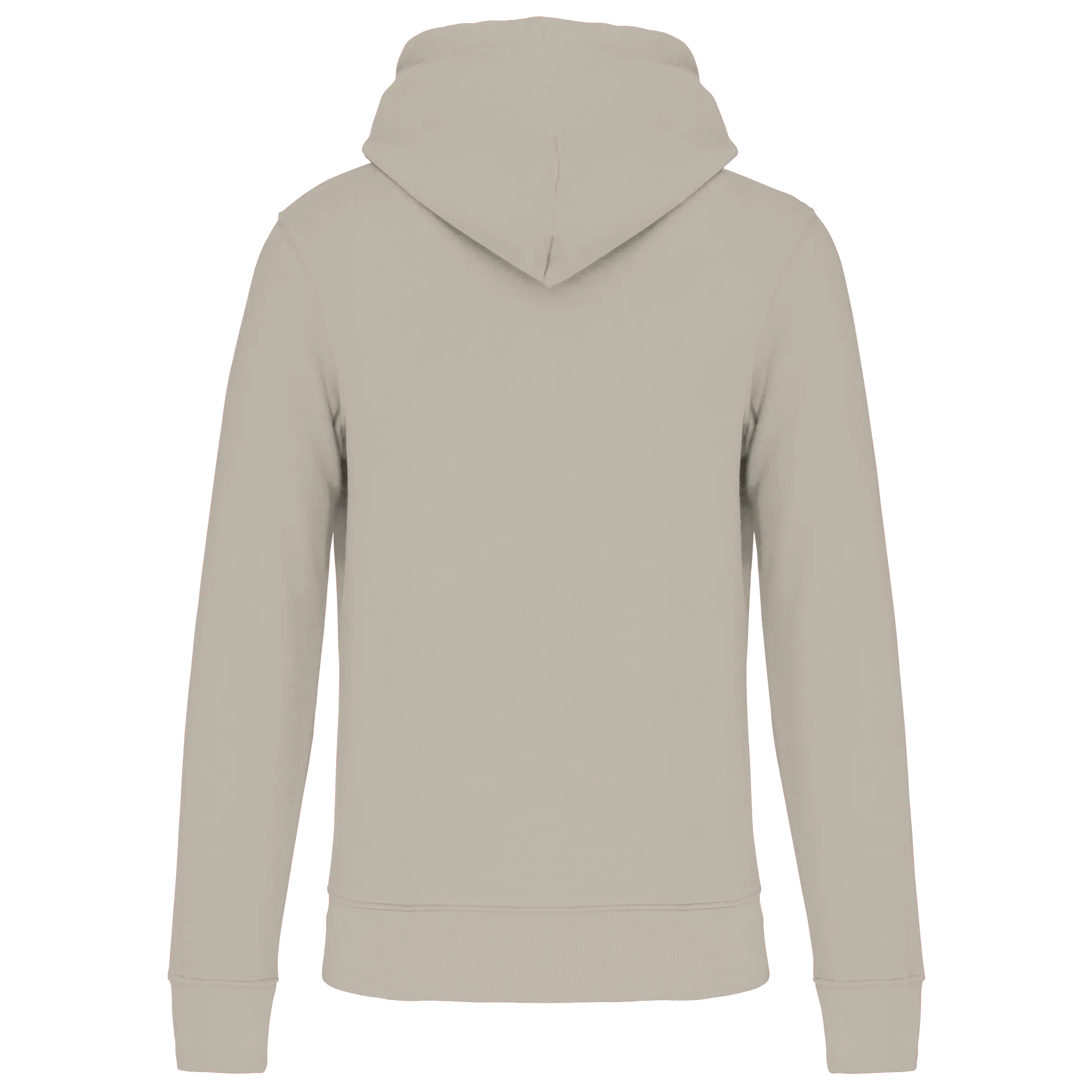 Sudadera capucha ecorresponsable hombre