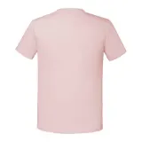 Powder Rose