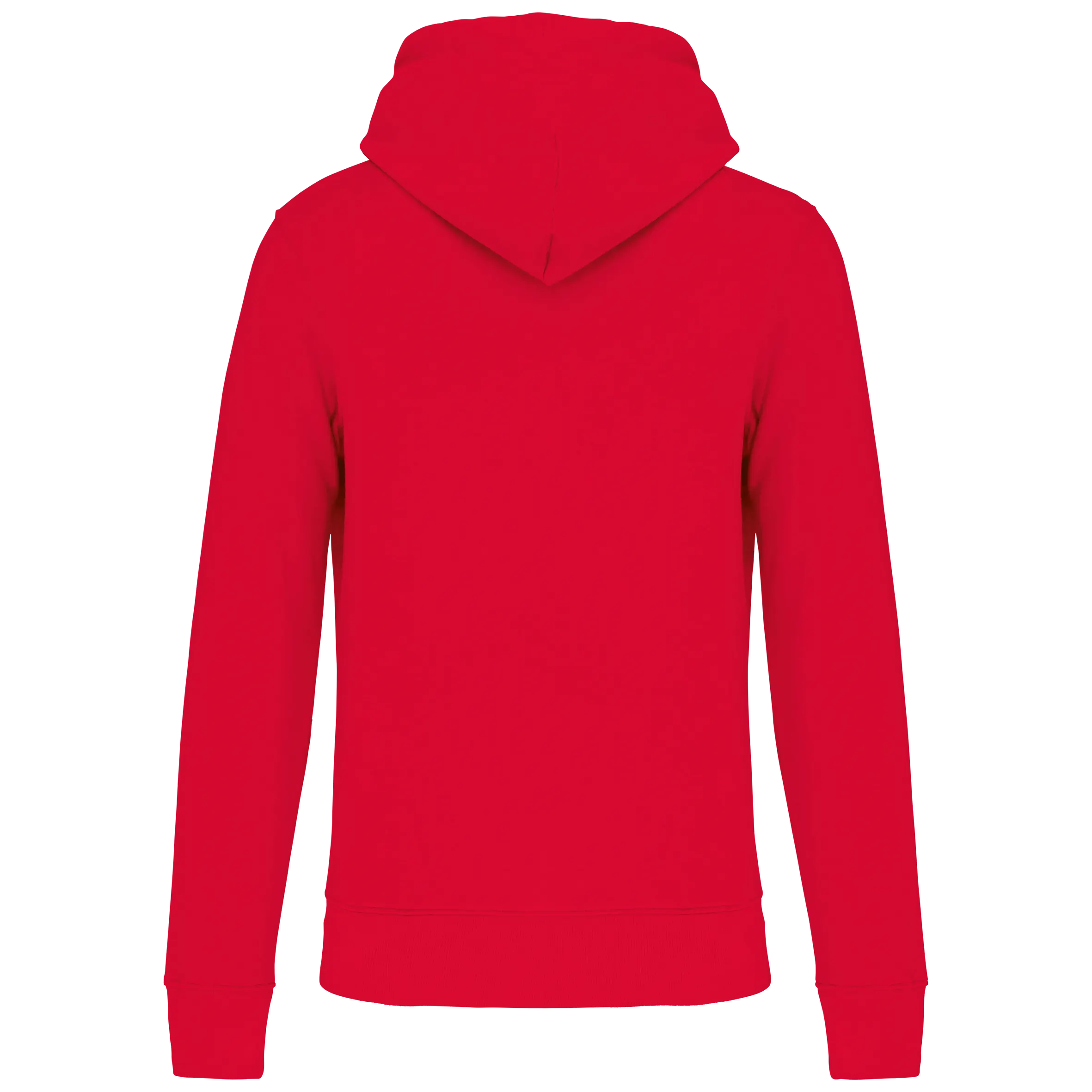 Sudadera capucha ecorresponsable hombre