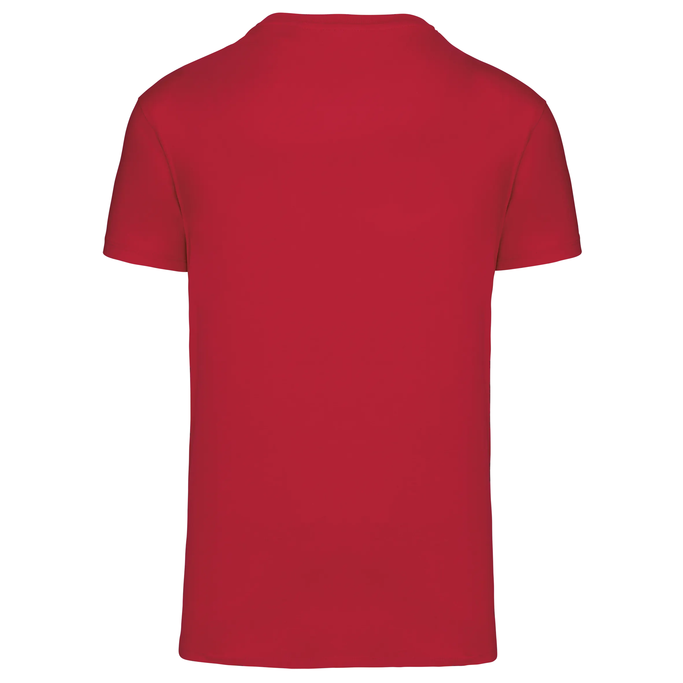 Camiseta BIO150 IC cuello de pico hombre