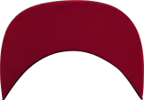Gorra foam trucker
