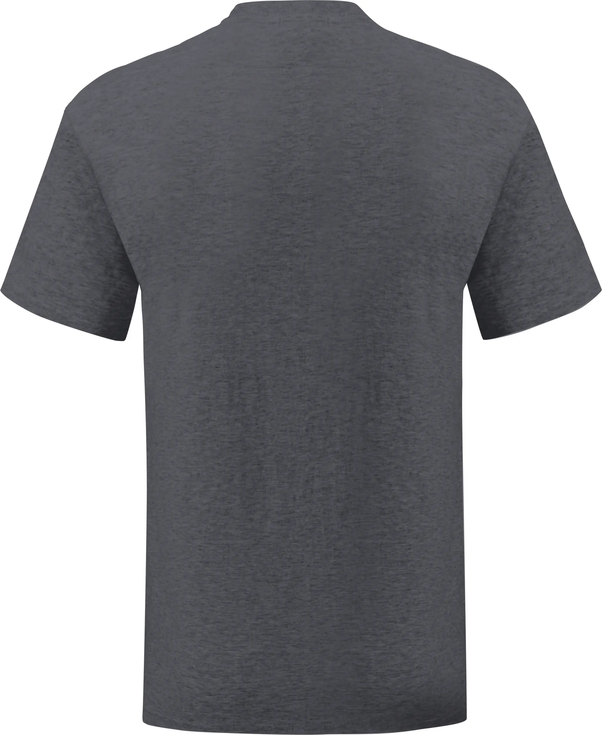 Camiseta Iconic-T hombre