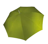 Burnt Lime