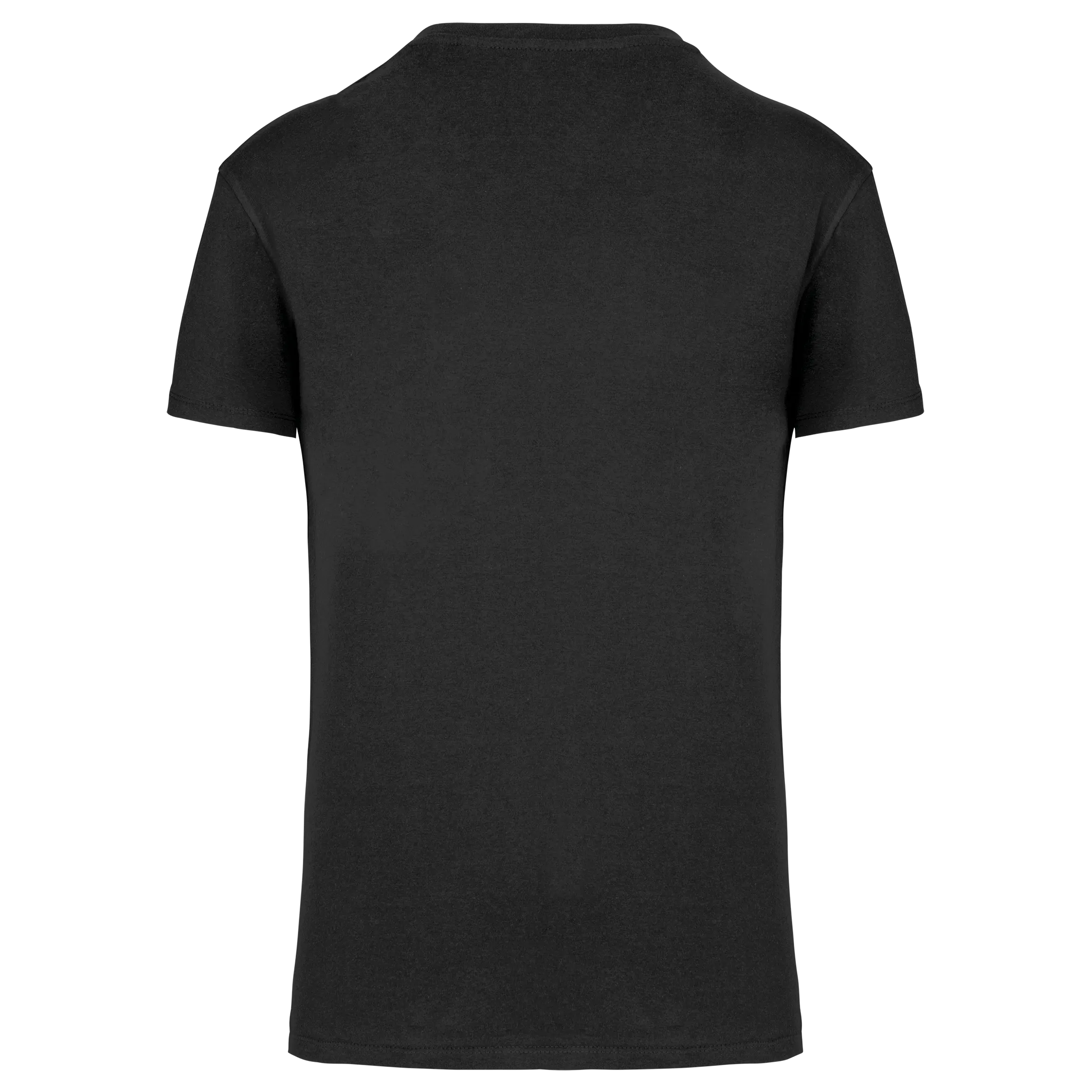 Camiseta BIO150 IC cuello de pico hombre