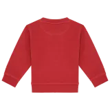 Terracotta Red