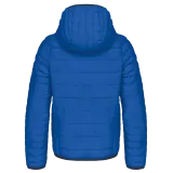 Light Royal Blue
