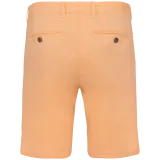 Pastel Apricot