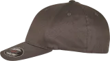 Gorra Flexfit de algodón orgánico