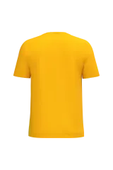 Ideal Gold