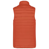 Burnt Ochre