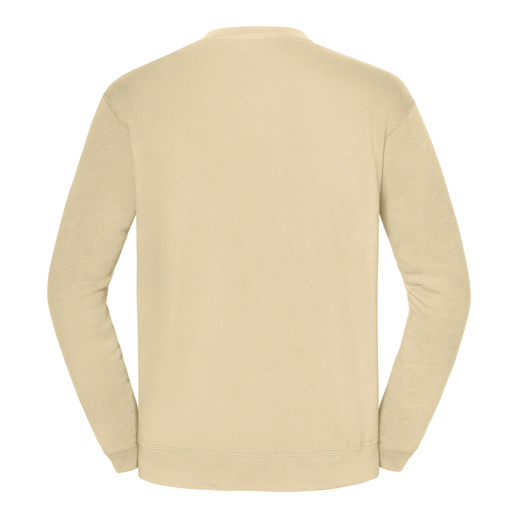 Sudadera Iconic 250